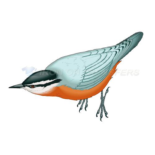 Birds Iron-on Stickers (Heat Transfers)NO.2167